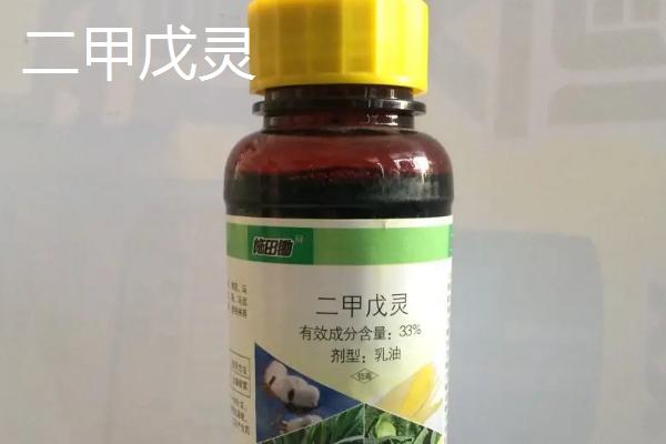 防治水稻田抗性马唐的特效药