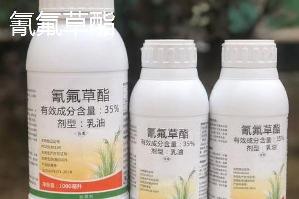 防治水稻田抗性马唐的特效药