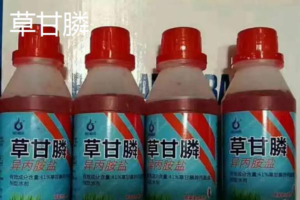 防治水稻田抗性马唐的特效药