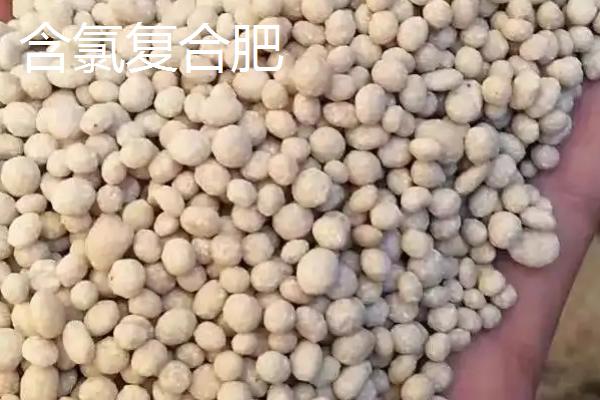 含氯复合肥和不含氯的区别