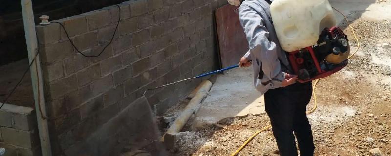 养猪场灭蚊灭蝇最有效的方法