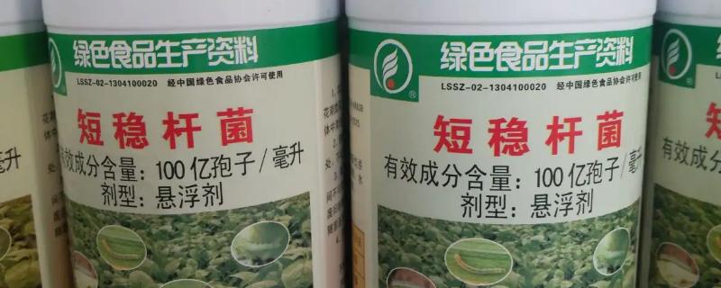 短稳杆菌杀虫剂的主要特点