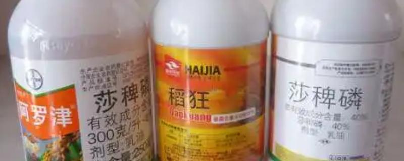 莎稗磷的使用方法和注意事项