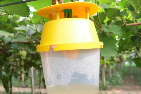 为什么性引诱剂是生物防治