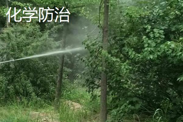 生物防治和化学防治的区别