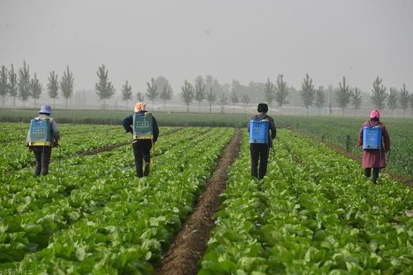 哪几种蔬菜不能喷白醋水