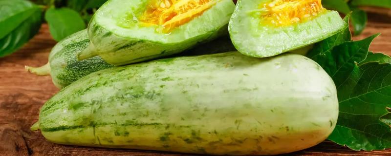 羊角蜜甜瓜从种植到成熟多长时间
