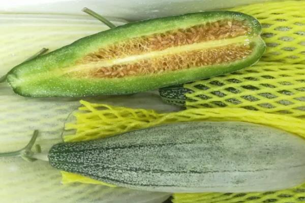 羊角蜜甜瓜从种植到成熟多长时间