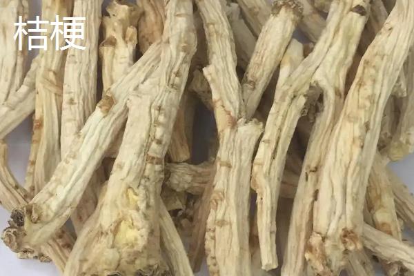 陈皮和桔梗有什么区别