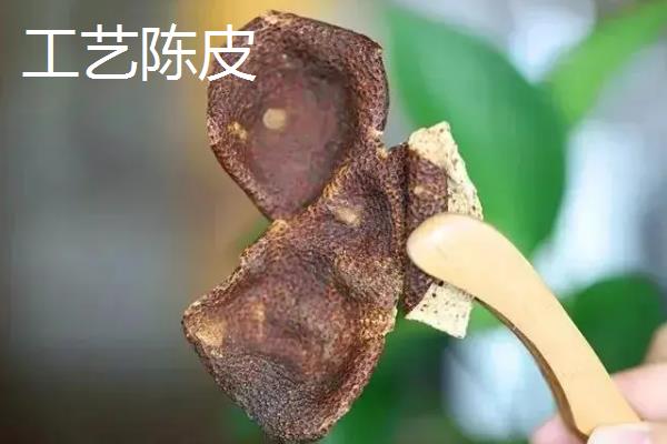 真正的陈皮是用哪种桔子皮