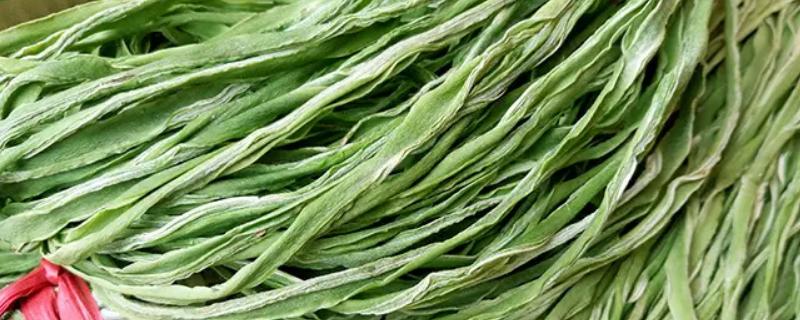 贡菜是什么菜