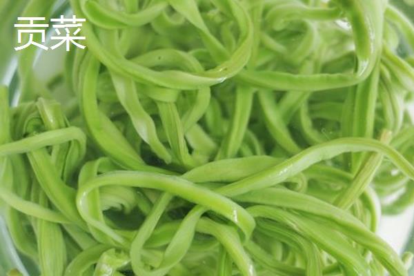 贡菜和莴笋的区别图片
