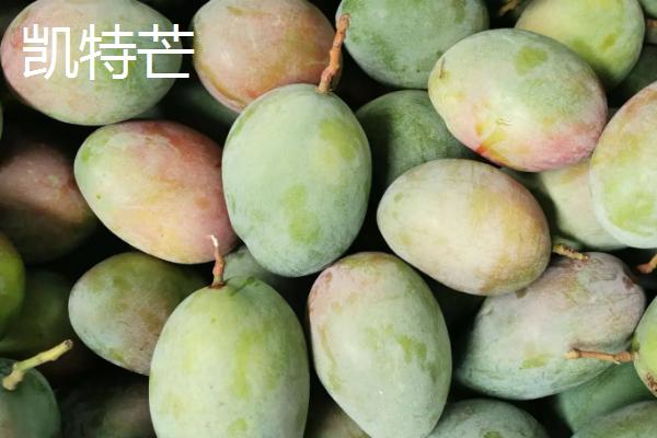 吉禄芒果和凯特芒果哪个好吃