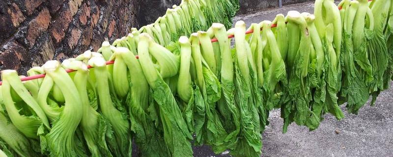 梅菜是雪里红吗