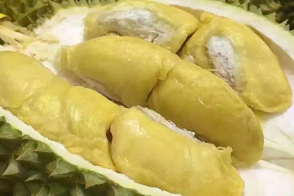 世界十大顶级榴莲