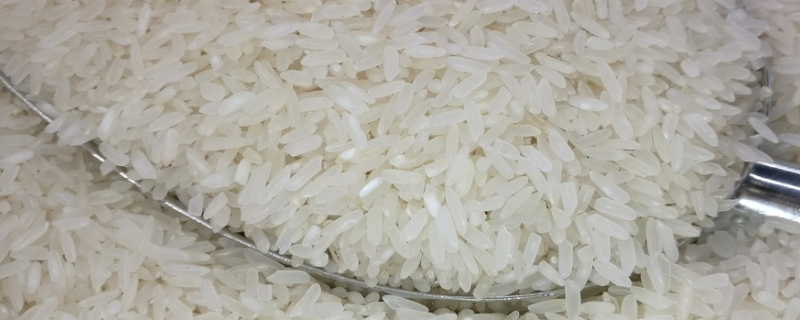 油粘米是什么米