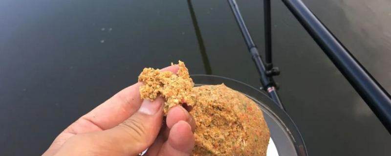 钓鲳鱼用什么饵料好