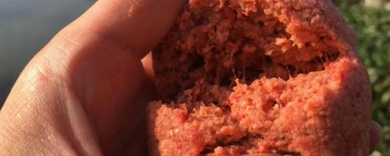 钓鲴鱼用什么饵料