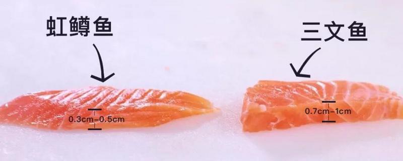 红鳟鱼和三文鱼的区别
