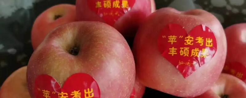 表示逢考必过的水果