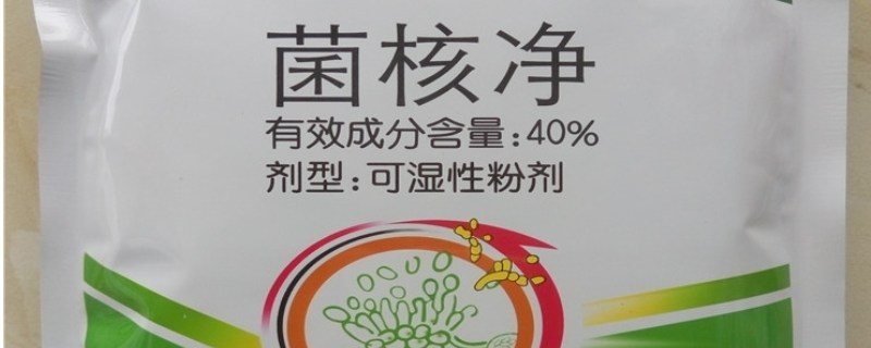 菌核净冶什么病