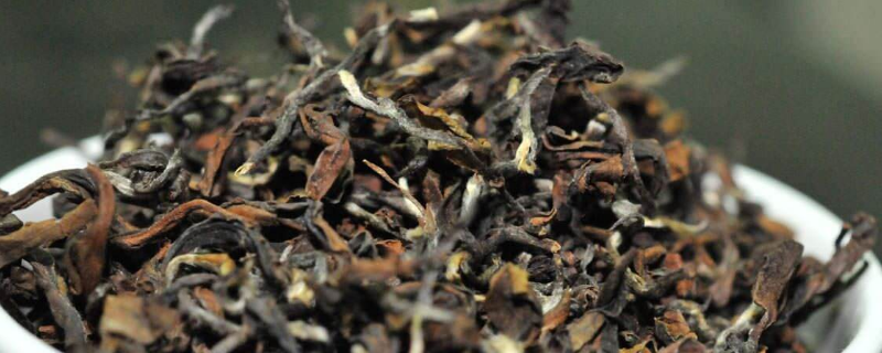 美人茶是什么茶