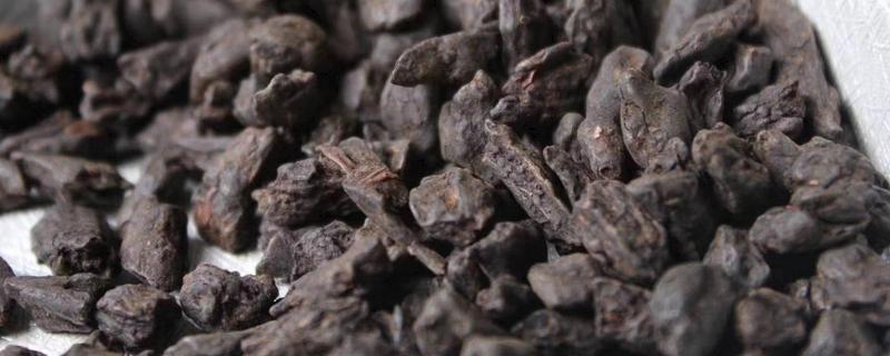 普洱老茶头是什么