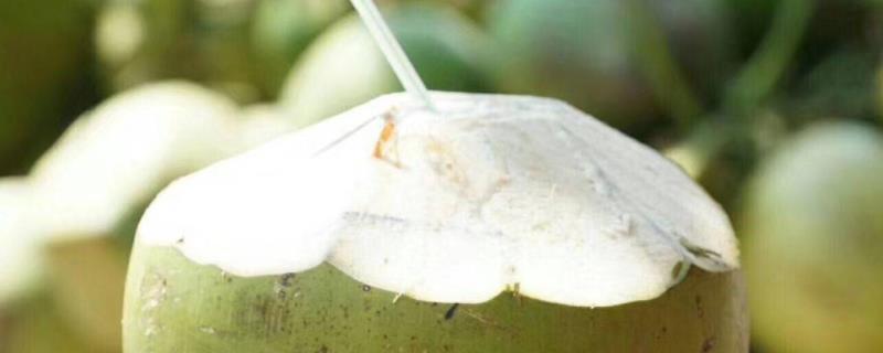 椰青怎么挑