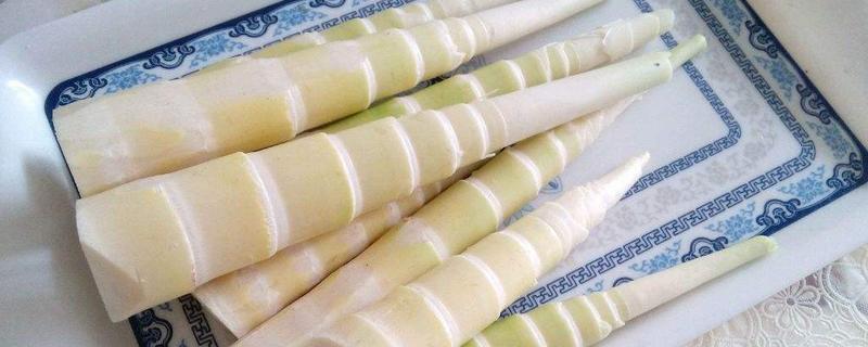 毛笋怎么保存