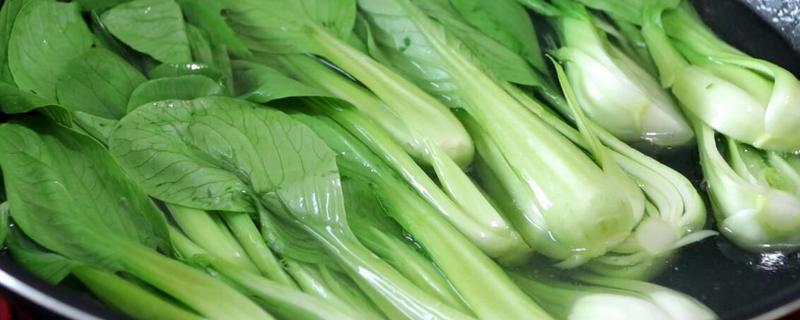 油菜能生吃吗