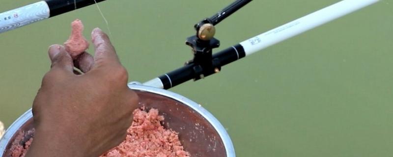 钓白鲢用什么饵料