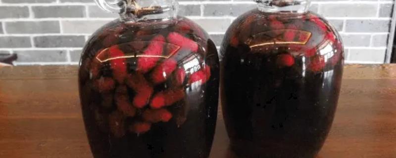 最适合泡酒的8种水果