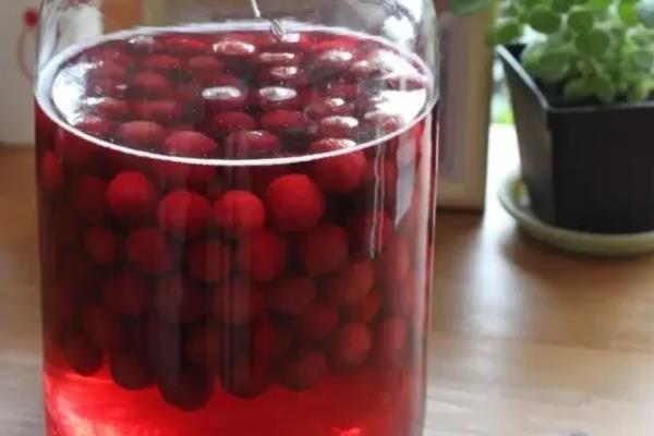 最适合泡酒的8种水果