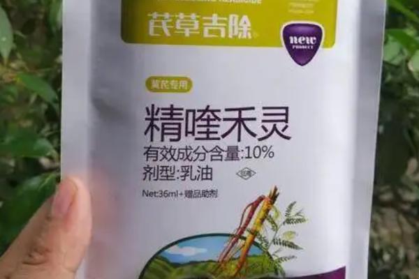 精喹禾灵会不会伤害到花生