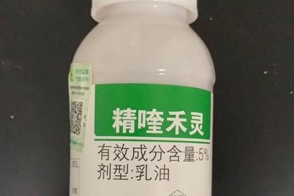 精喹禾灵会不会伤害到花生