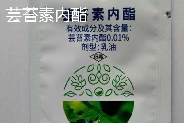 花生大量下针用什么调节剂