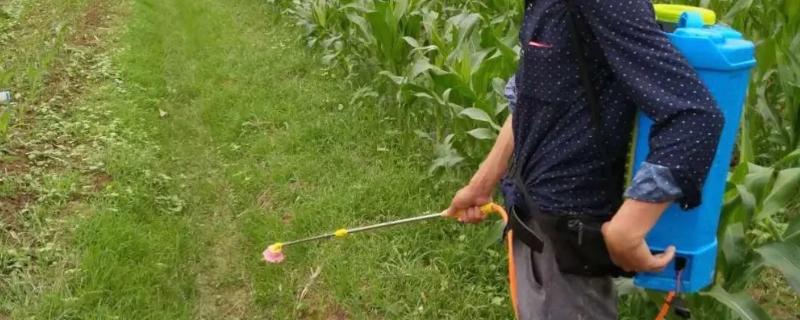 什么杀虫剂可以和除草剂使用