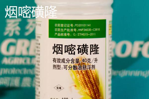 玉米地有大草用什么除草剂