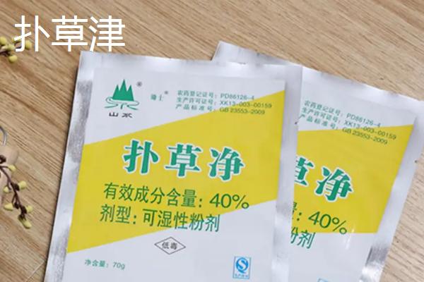 玉米地有大草用什么除草剂