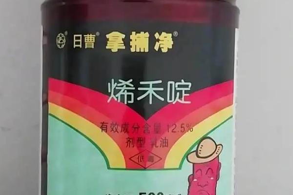 谷子地用什么除草剂防治阔叶杂草