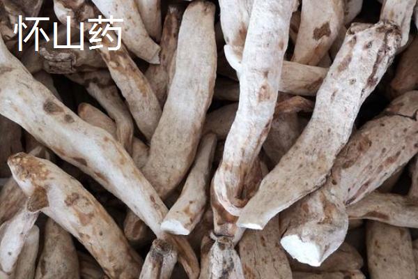 河南主要种植的农作物