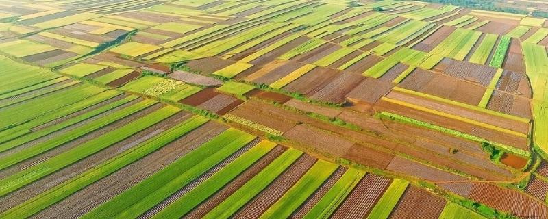 农业是干什么的
