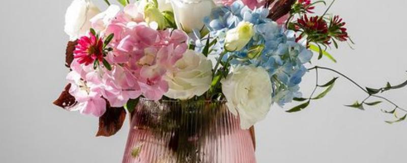 鲜花放什么能延长花期