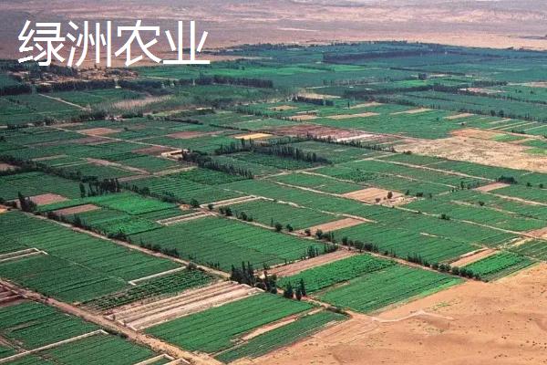 绿洲农业主要分布地区