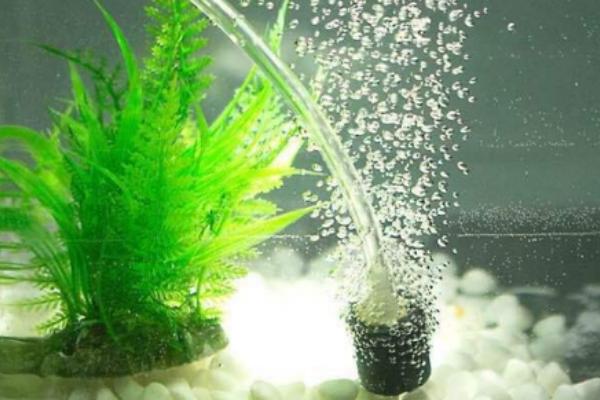 气泵打氧多久能除氯，附氧气泵的使用方法