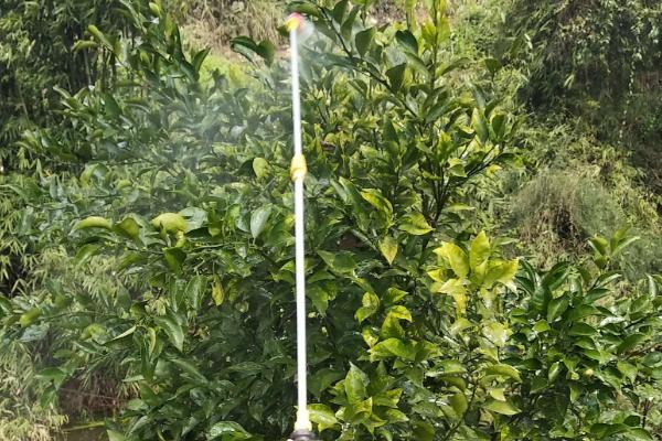 高效氯氰菊酯能否灭杀地老虎