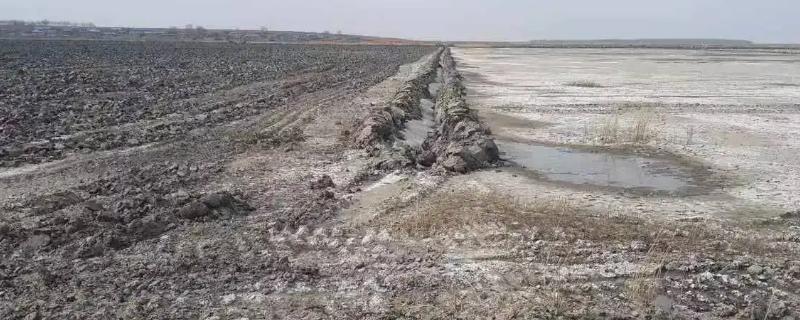 碱地用什么去碱