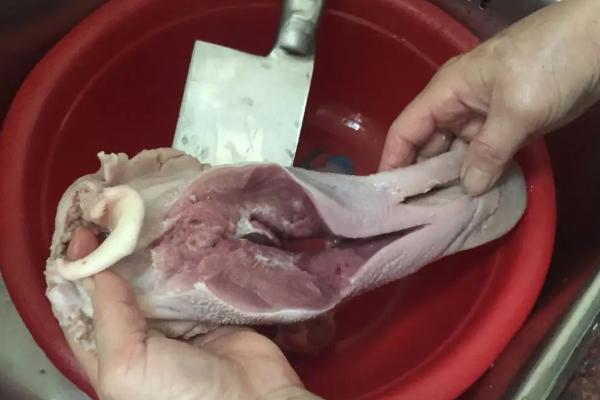 如何快速去除猪舌苔