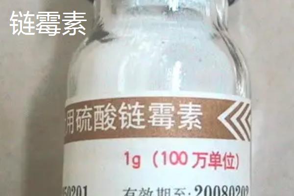 猪用链霉素可以治疗哪些疾病