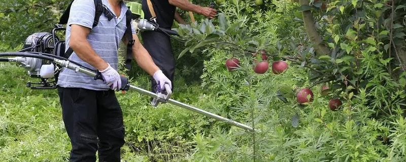 精喹禾灵可以使用范围